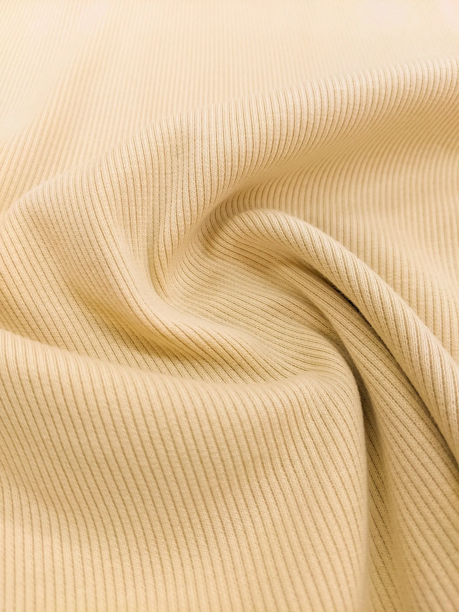 Organic Cotton Jersey Rib Knit - Sunray