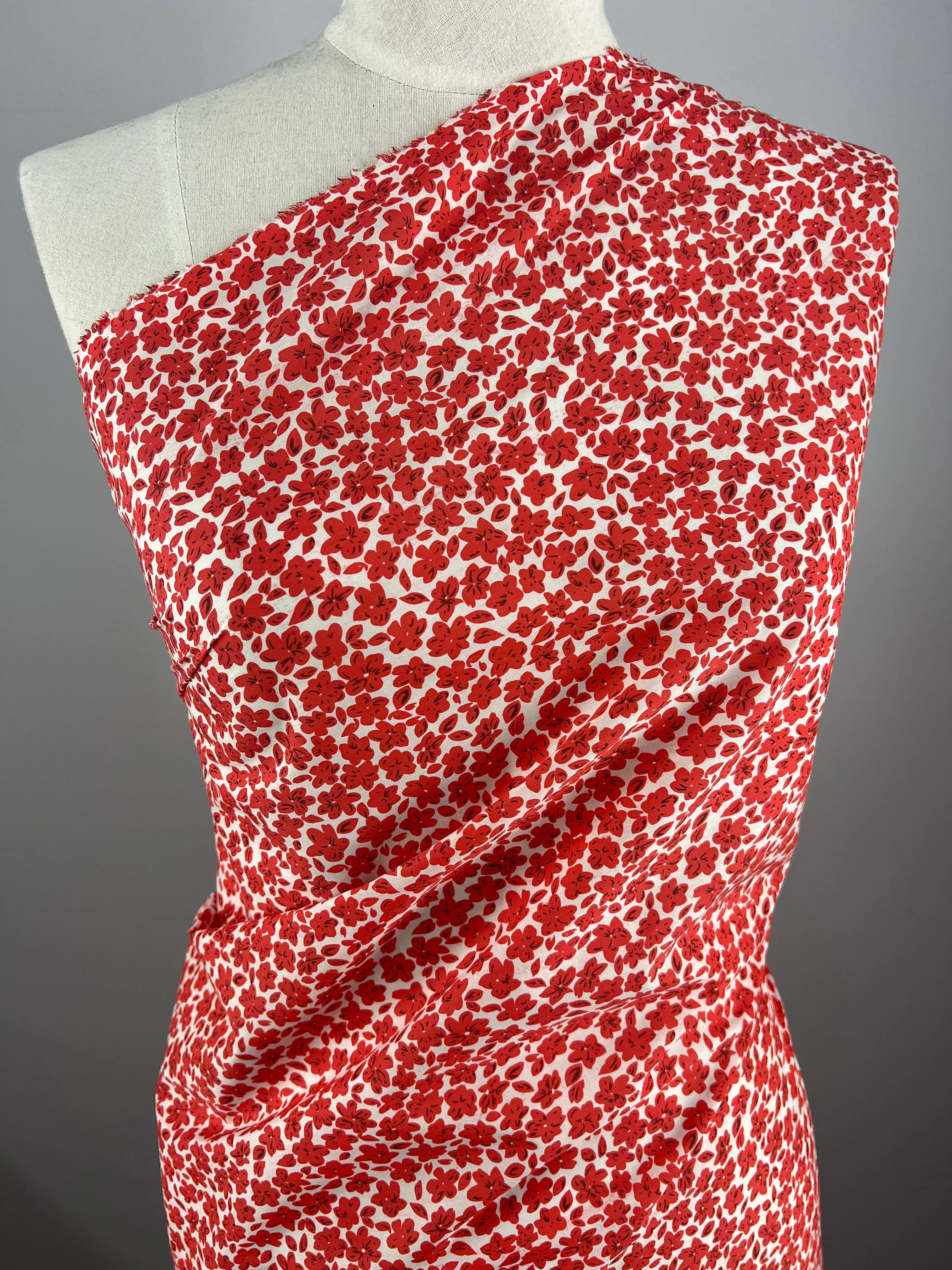 Printed Cotton - Red Rain - 145cm
